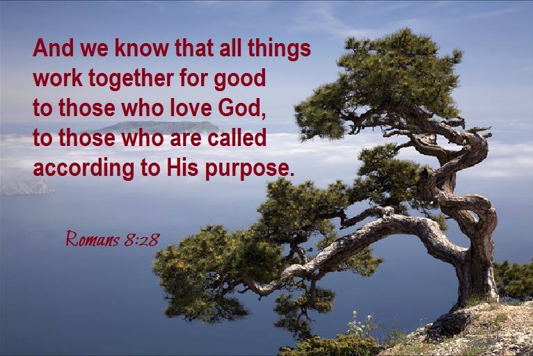 romans-8-28-and-we-know-that-all-things-work-together-for-good-to-those