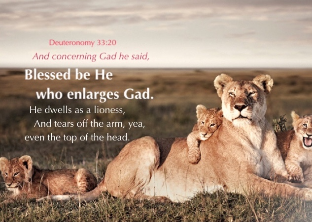 Deuteronomy 33:20-21 And concerning Gad he said, Blessed be He who enlarges Gad. He dwells as a lioness, And tears off the arm, yea, even the top of the head. And he provided the first part for himself, For there the portion of a lawgiver is reserved; And he came with the heads of the people; He executed the righteousness of Jehovah And His judgments with Israel.