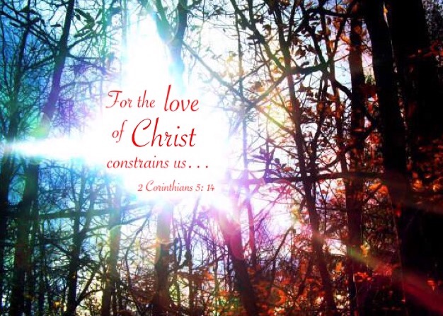 2 Cor. 5:14 For the love of Christ constrains us because we have judged this, that One died for all, therefore all died.