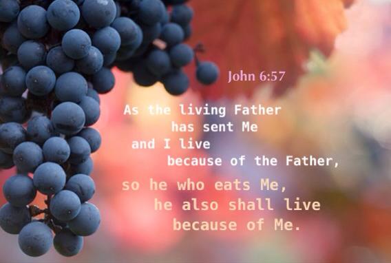 John 6:57 As the living Father has sent Me and I live because of the Father, so he who eats Me, he also shall live because of Me