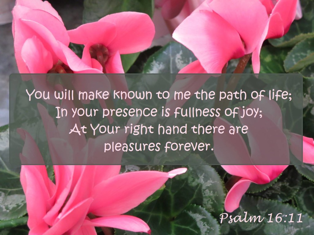 Psalm 16:11 You Will Make Known To Me The Path Of Life - Christian ...