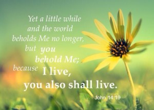 John 14:19 Yet a little while and the world beholds Me no longer, but ...