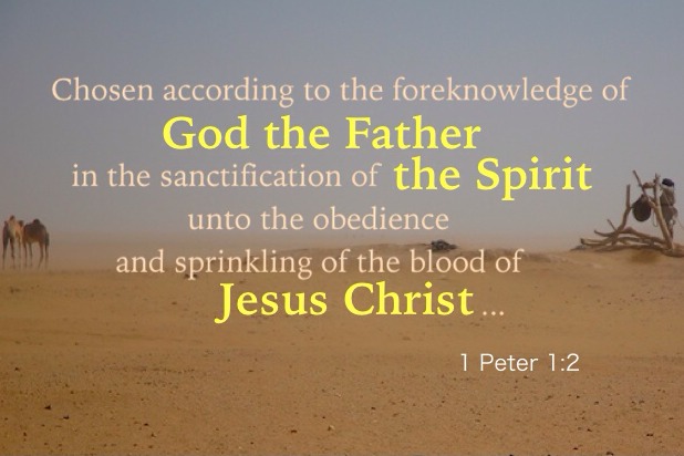 1 Peter 1:2 Chosen according to the foreknowledge of God the Father in the sanctification of the Spirit unto the obedience and sprinkling of the blood of Jesus Christ