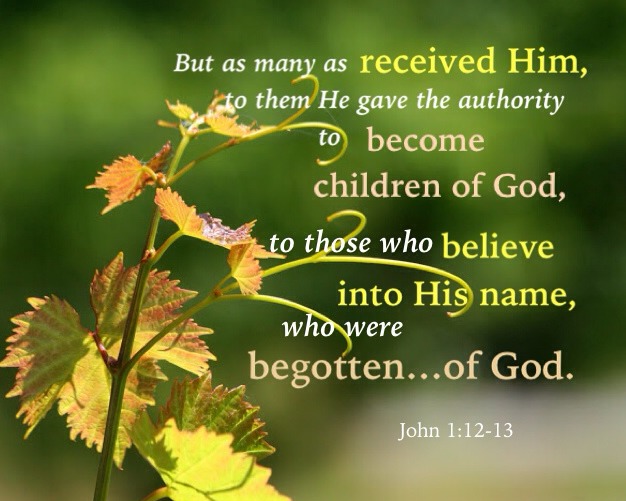 John 1:12-13 But as many as received Him, to them He gave the authority to become children of God