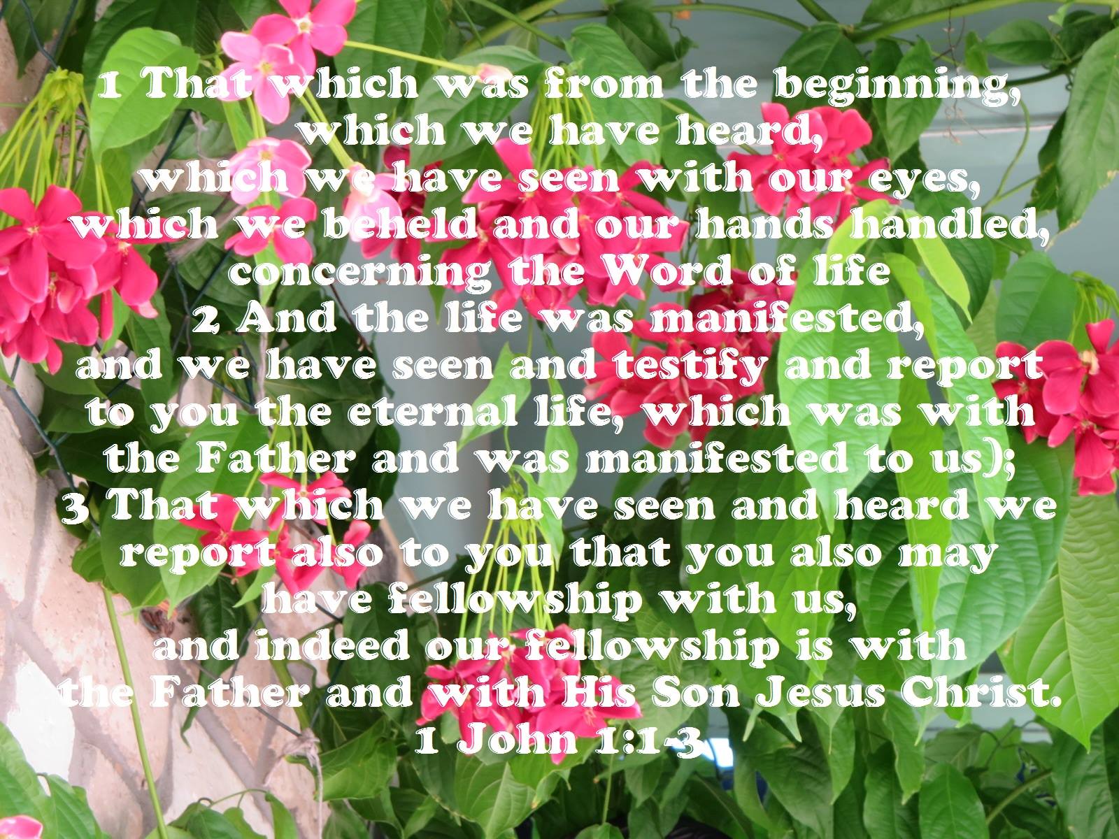 1 John 1:1-3 That which was from the beginning, which we have heard, which we have seen with our eyes, which we beheld and our hands handled, concerning the Word of life, (And the life was manifested, and we have seen and testify and report to you the eternal life, which was with the Father and was manifested to us); That which we have seen and heard we report also to you that you also may have fellowship with us, and indeed our fellowship is with the Father and with His Son Jesus Christ.