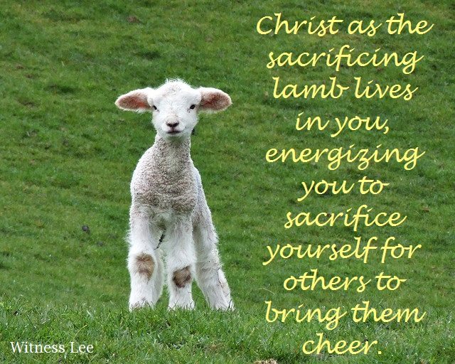Christ as the sacrificing lamb lives in you, energizing you to sacrifice  yourself for others (Witness Lee quote) - Christian Pictures Blog