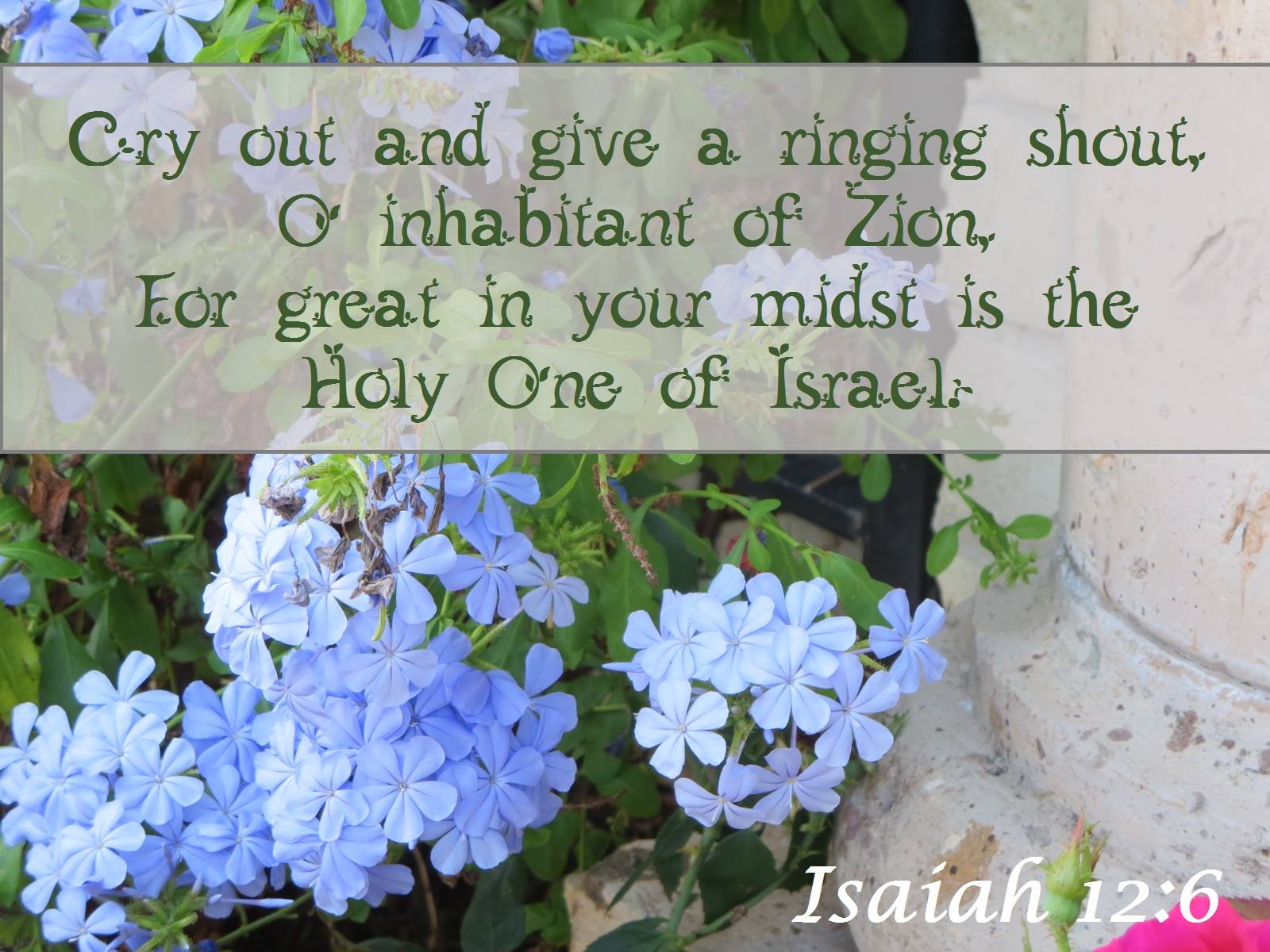 Isaiah 12:6 Cry out and give a ringing shout, O inhabitant of Zion, For great in your midst is the Holy One of Israel.