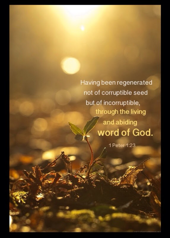1 Pet. 1:23 Having been regenerated not of corruptible seed but of incorruptible, through the living and abiding word of God.