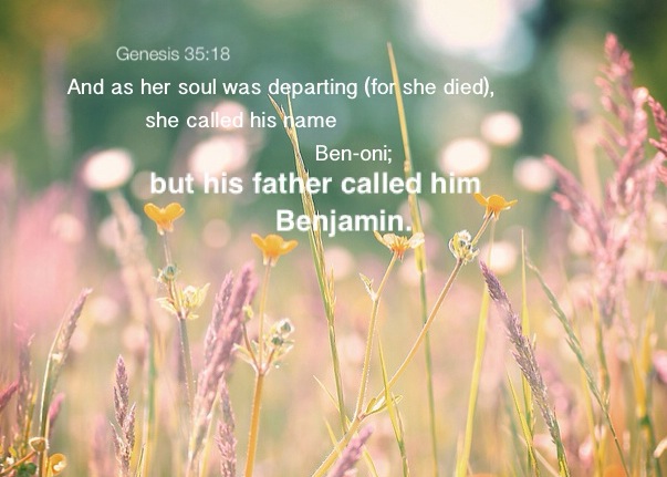 Gênesis 35:18 - E aconteceu que, saindo-se-lhe a alma (porque morreu),  chamou-lhe Benoni; mas seu pai chamou-lhe Benjamim. - Bíblia