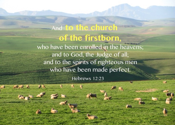 Hebrews 12:23 And to the church of the firstborn, who have been enrolled in the heavens; and to God, the Judge of all; and to the spirits of righteous men who have been made perfect;