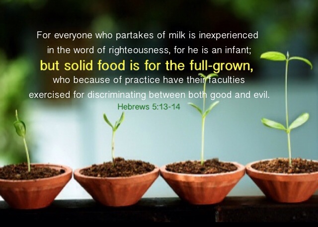 Hebrews 5:13-14 For everyone who partakes of milk is inexperienced in the word of righteousness, for he is an infant; But solid food is for the full-grown, who because of practice have their faculties exercised for discriminating between both good and evil.