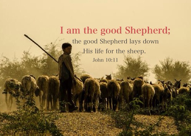 John 10:11 I am the good Shepherd; the good Shepherd lays down His life for the sheep.