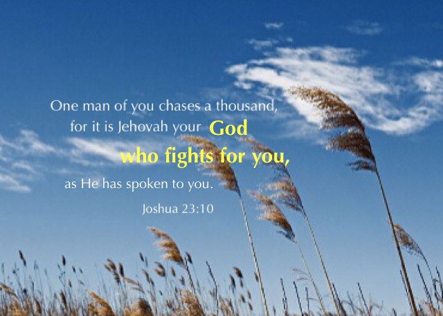 Joshua 23:10 One man of you chases a thousand, for it is Jehovah your God who fights for you, as He has spoken to you.