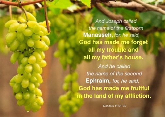 Genesis 41:51-52 And Joseph called the name of the firstborn Manasseh, for, he said, God has made me forget all my trouble and all my father's house. And he called the name of the second Ephraim, for, he said, God has made me fruitful in the land of my affliction.