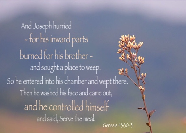 Genesis 43:30-31 And Joseph hurried - for his inward parts burned for his brother - and sought a place to weep. So he entered into his chamber and wept there. Then he washed his face and came out, and he controlled himself and said, Serve the meal.