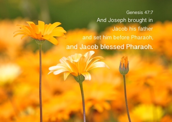 Genesis 47:7 And Joseph brought in Jacob his father and set him before Pharaoh, and Jacob blessed Pharaoh.