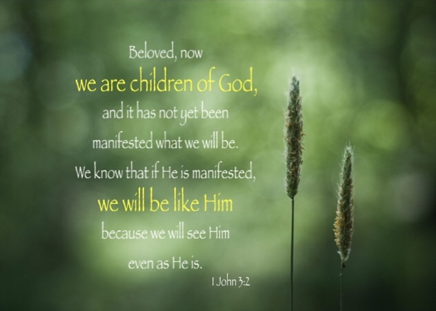 1 John 3:2 Beloved, now we are children of God, and it has not yet been manifested what we will be. We know that if He is manifested, we will be like Him because we will see Him even as He is.