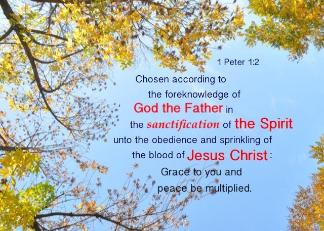 1 Peter 1:2 Chosen according to the foreknowledge of God the Father in the sanctification of the Spirit unto the obedience and sprinkling of the blood of Jesus Christ: Grace to you and peace be multiplied.