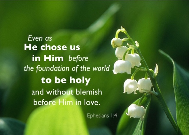 Ephesians 1:4 Even as He chose us in Him before the foundation of the world to be holy and without blemish before Him in love.
