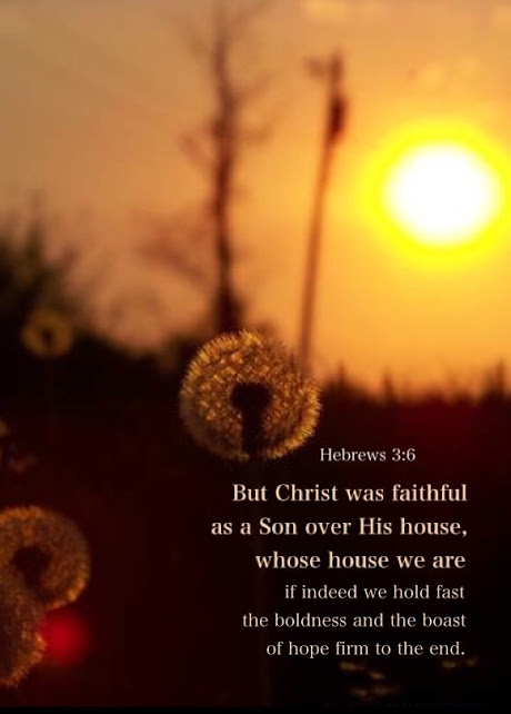 Hebrews 3:6 But Christ was faithful as a Son over His house, whose house we are if indeed we hold fast the boldness and the boast of hope firm to the end.