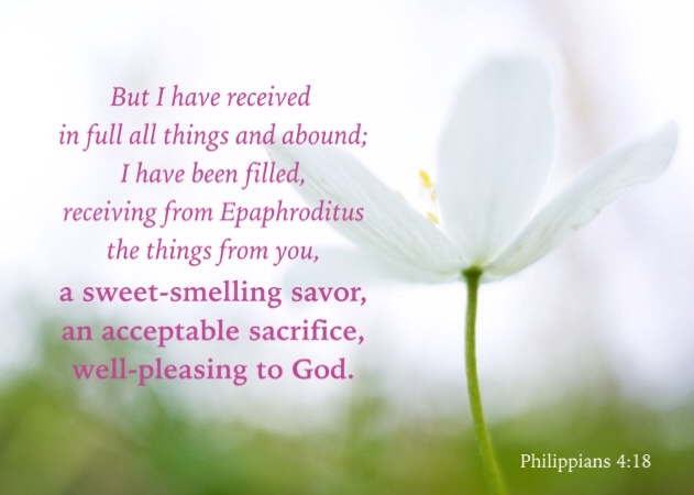 Philippians 4:18 But I have received in full all things and abound; I have been filled, receiving from Epaphroditus the things from you, a sweet-smelling savor, an acceptable sacrifice, well-pleasing to God.