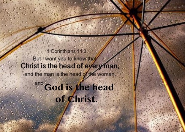 1 Corinthians 11:3 But I want you to know that Christ is the head of every man, and the man is the head of the woman, and God is the head of Christ.
