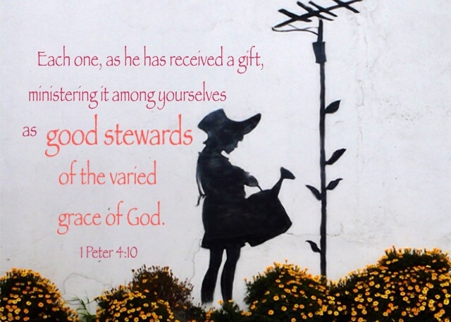 1 Peter 4:10 Each one, as he has received a gift, ministering it among yourselves as good stewards of the varied grace of God.