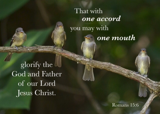 Rom. 15:6 That with one accord you may with one mouth glorify the God and Father of our Lord Jesus Christ.