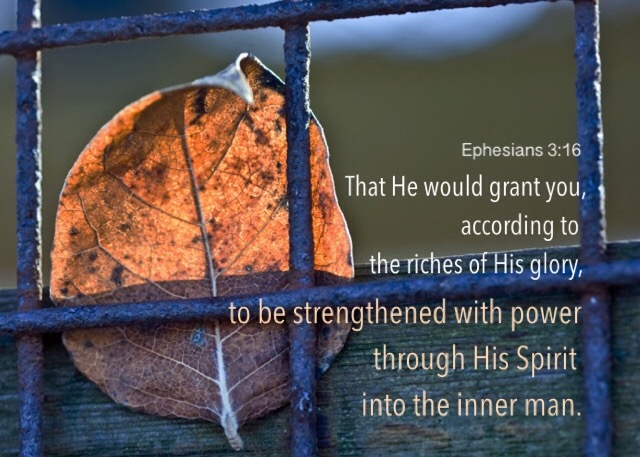 Ephesians 3:16 That He would grant you, according to the riches of His glory, to be strengthened with power through His Spirit into the inner man.