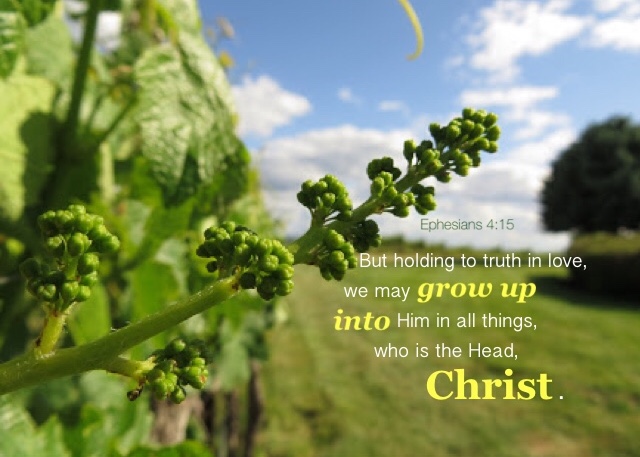 Ephesians 4:15 But holding to truth in love, we may grow up into Him in all things, who is the Head, Christ.