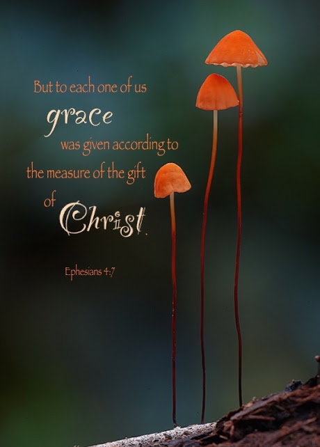 Ephesians 4:7 But to each one of us grace was given according to the measure of the gift of Christ.