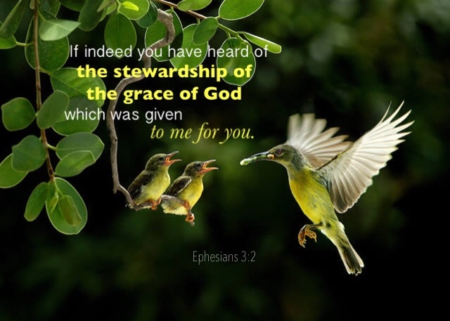 Ephesians 3:2 If indeed you have heard of the stewardship of the grace of God which was given to me for you.