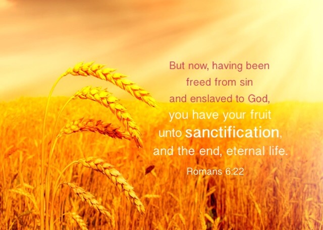 Rom. 6:22 But now, having been freed from sin and enslaved to God, you have your fruit unto sanctification, and the end, eternal life.