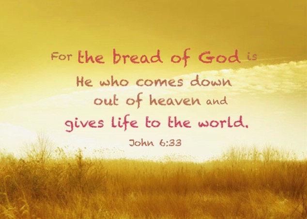 John 6:33 For the bread of God is He who comes down out of heaven and gives life to the world.