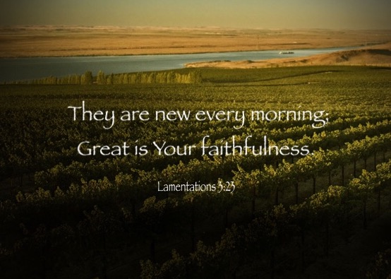 Lamentations 3:23 They are new every morning; Great is Your faithfulness.