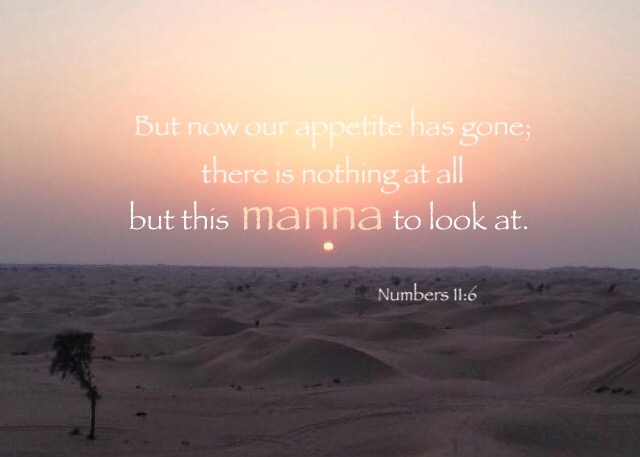 Numbers 11:6 But now our appetite has gone; there is nothing at all but this manna to look at.