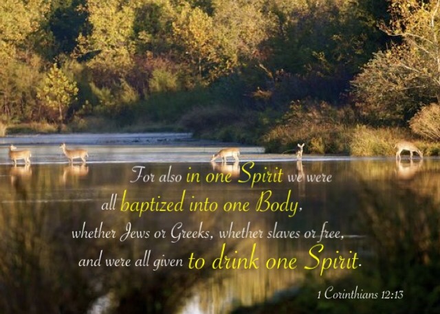1 Cor. 12:13 For also in one Spirit we were all baptized into one Body, whether Jews or Greeks, whether slaves or free, and were all given to drink one Spirit.