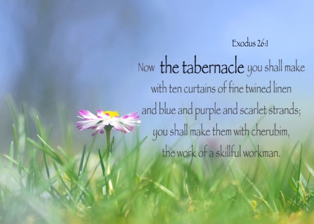 Exodus 26:1 Now the tabernacle you shall make with ten curtains of fine twined linen and blue and purple and scarlet strands; you shall make them with cherubim, the work of a skillful workman.