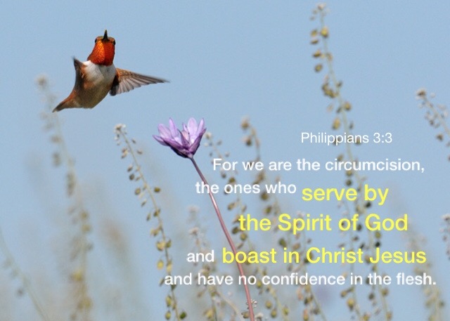 Philippians 3:3 For we are the circumcision, the ones who serve by the Spirit of God and boast in Christ Jesus and have no confidence in the flesh.