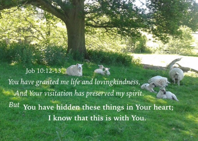Job 10:12-13 You have granted me life and lovingkindness, And Your visitation has preserved my spirit. But You have hidden these things in Your heart; I know that this is with You.