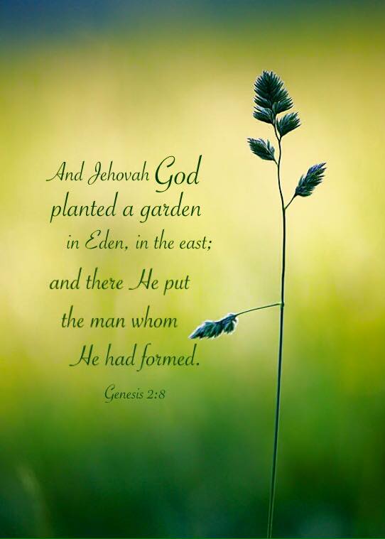 And Jehovah God planted a garden in Eden, in the east; and there He put the  man whom He had formed - Christian Pictures Blog