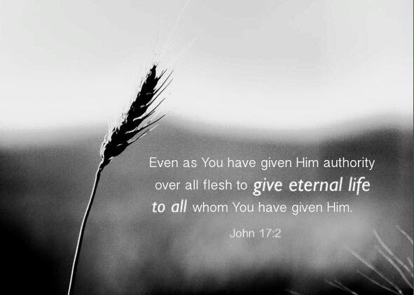 John 17:2 Even as You have given Him authority over all flesh to give eternal life to all whom You have given Him