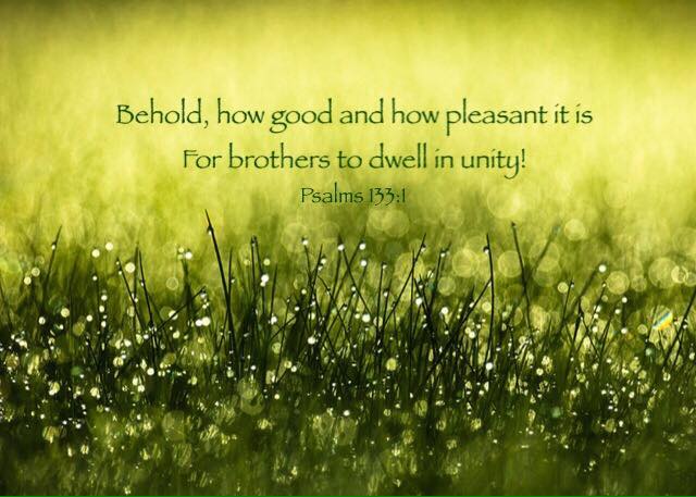 Psalms 133:1 Behold, how good and how pleasant it is For brothers to dwell in unity!