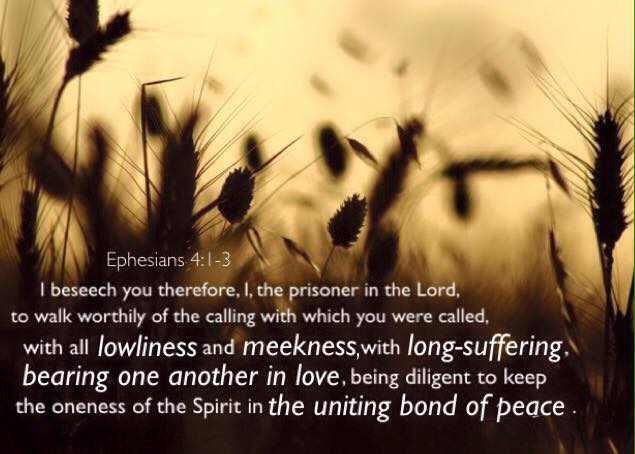 Ephesians 4:1-3 I beseech you therefore, I, the prisoner in the Lord, to walk worthily of the calling with which you were called, With all lowliness and meekness, with long-suffering, bearing one another in love, Being diligent to keep the oneness of the Spirit in the uniting bond of peace.