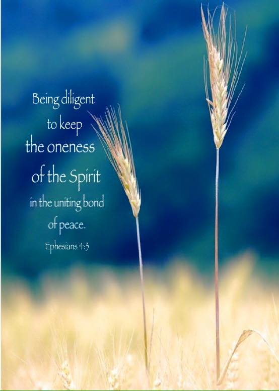 Ephesians 4:3 Being diligent to keep the oneness of the Spirit in the uniting bond of peace.