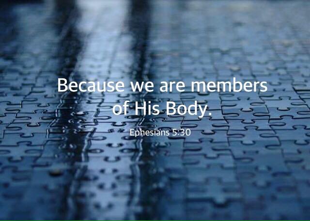 Ephesians 5:30 Because we are members of His Body.