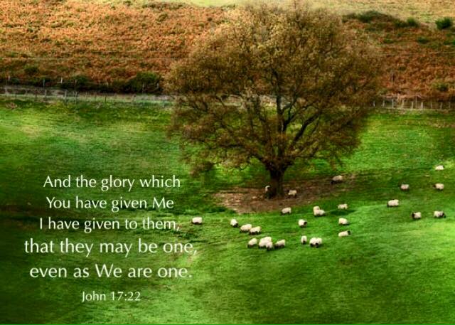 John 17:22 And the glory which You have given Me I have given to them, that they may be one, even as We are one