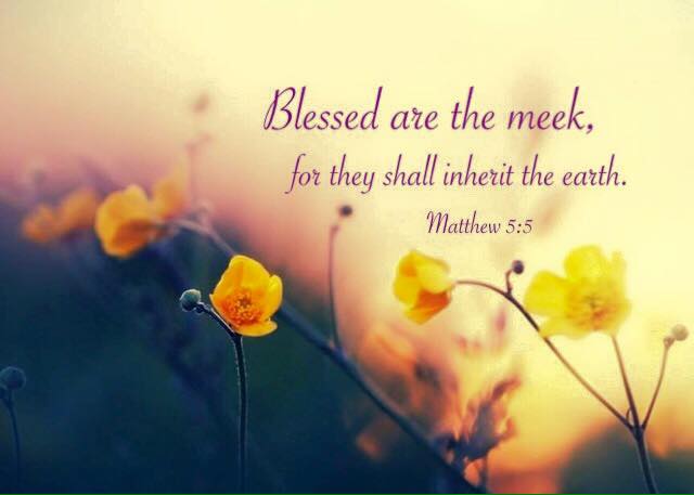 Matthew 5:5 Blessed are the meek, for they shall inherit the earth
