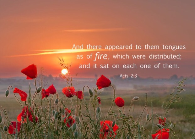 Acts 2:3 And there appeared to them tongues as of fire, which were distributed; and it sat on each one of them.