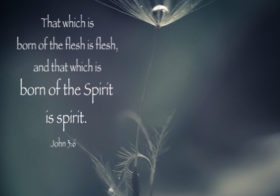 John 3:6 That which is born of the flesh is flesh, and that which is born of the Spirit is spirit